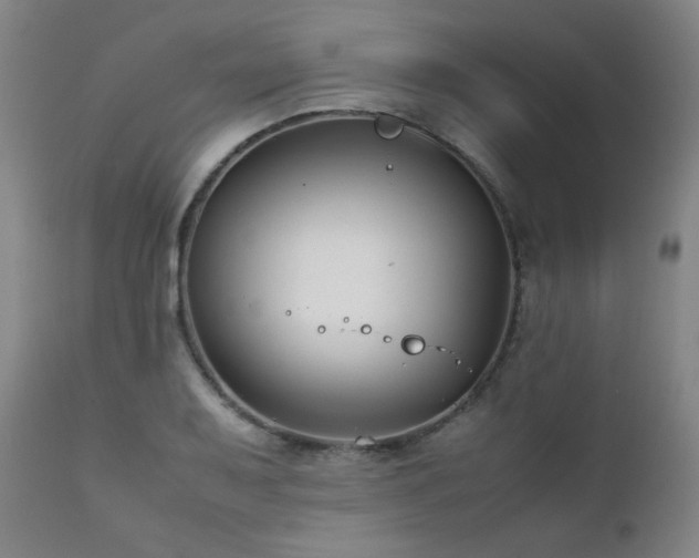 X0000111211079200907011438