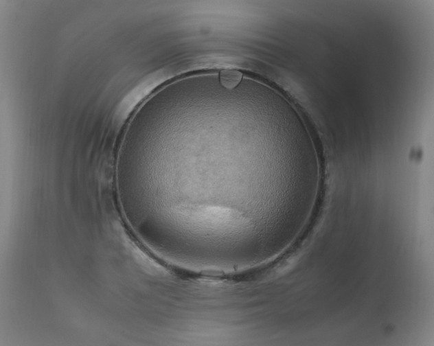 X0000111211081200907011438