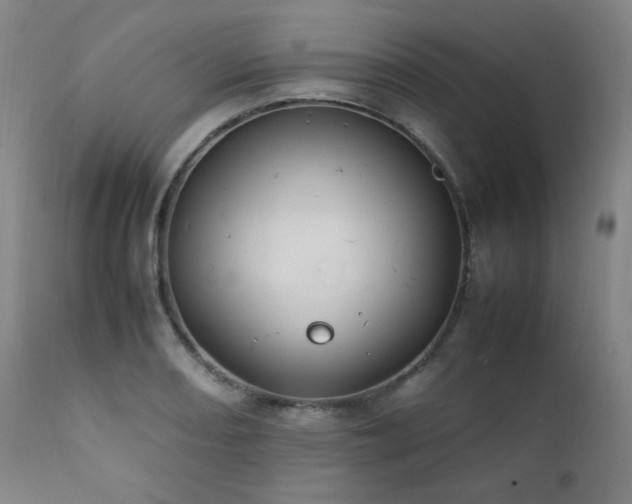 X0000111211082200907011437