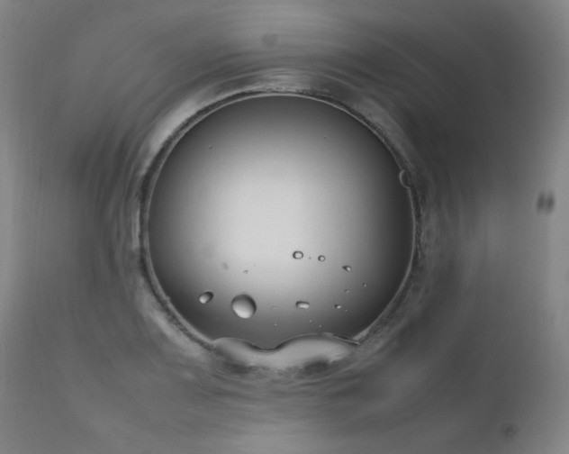 X0000111211083200907011437