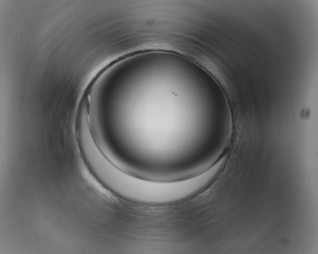 X0000111211084200907011437