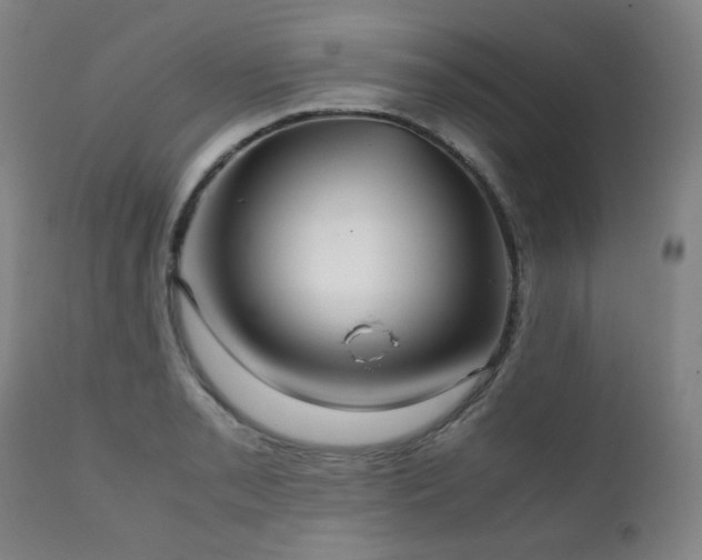 X0000111211085200907011437