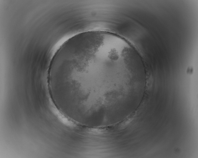 X0000111211086200907011437