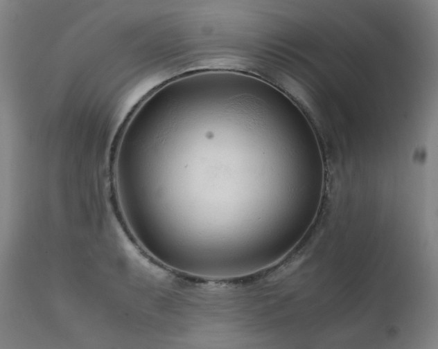 X0000111211087200907011437