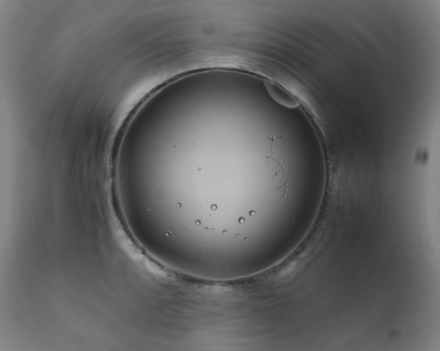 X0000111211088200907011437