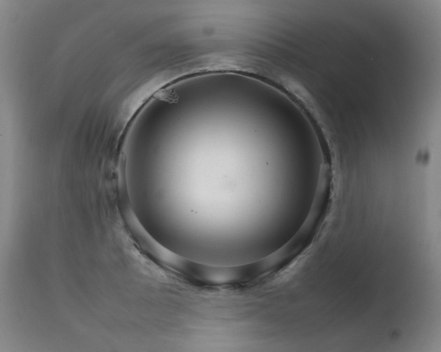 X0000111211089200907011437