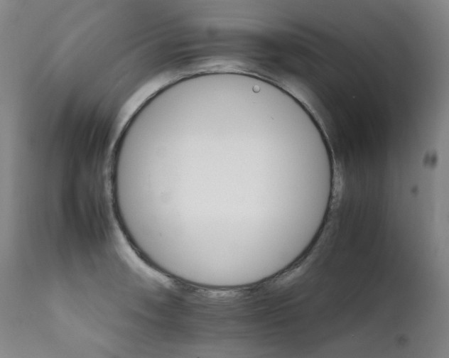 X0000111211090200907011437