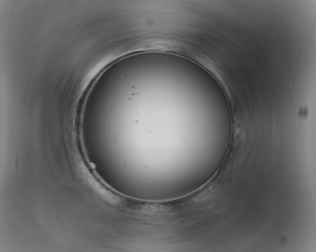 X0000111211091200907011437