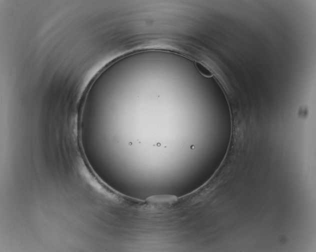 X0000111211092200907011437