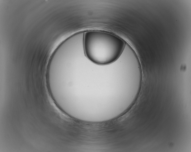 X0000111211093200907011437