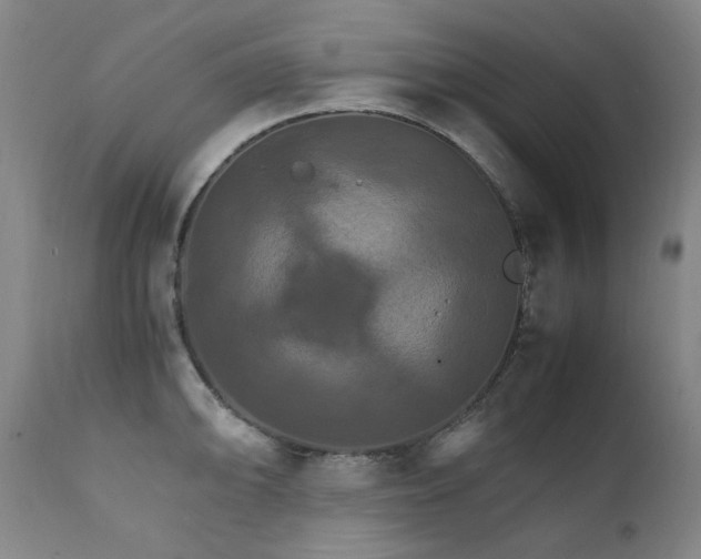 X0000111211094200907011437