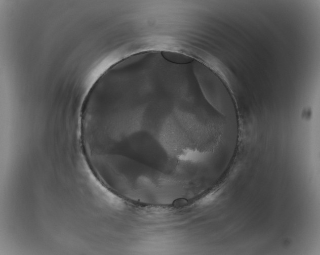 X0000111211095200907011437