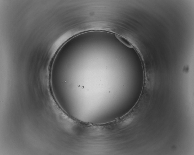 X0000111211096200907011437