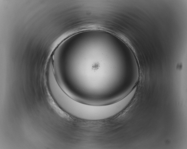 X0000111211098200907011437