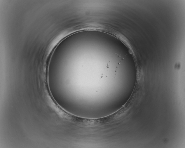 X0000111211099200907011437