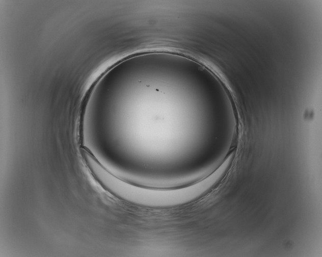 X0000111211101200907011437