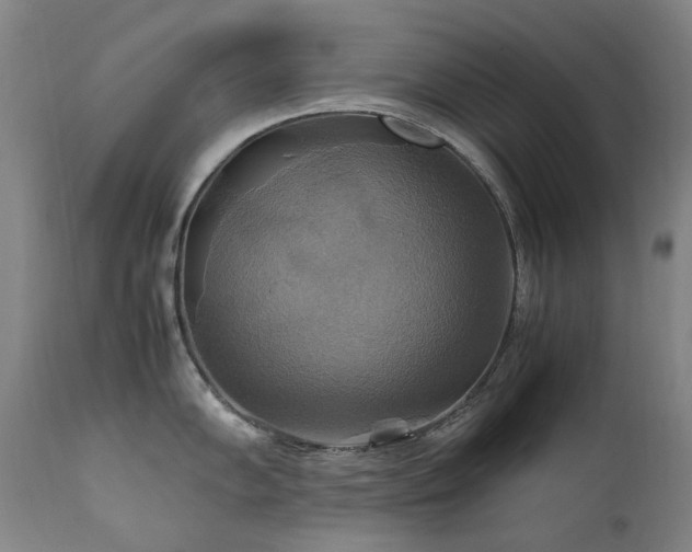 X0000111211102200907011437