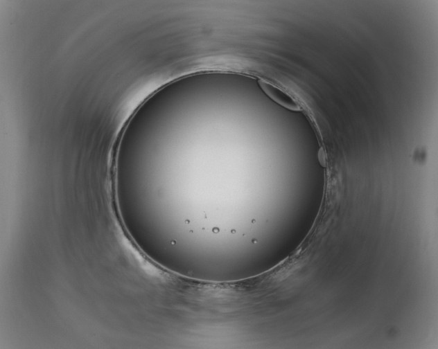 X0000111211103200907011437