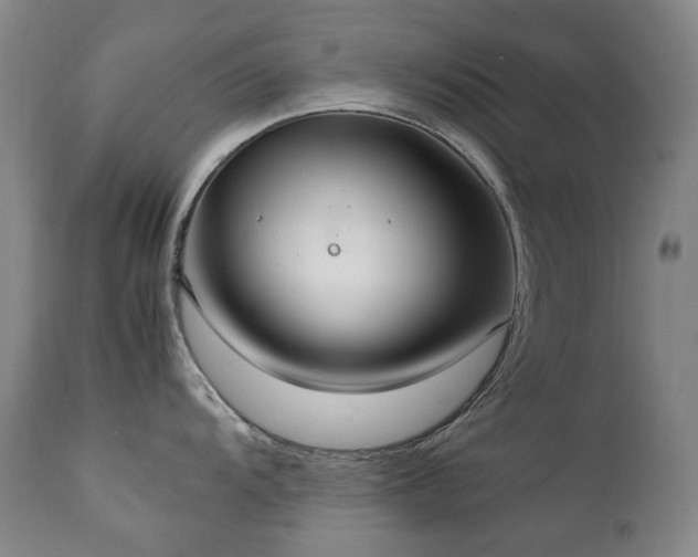 X0000111211104200907011437