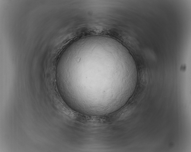 X0000111211105200907011437