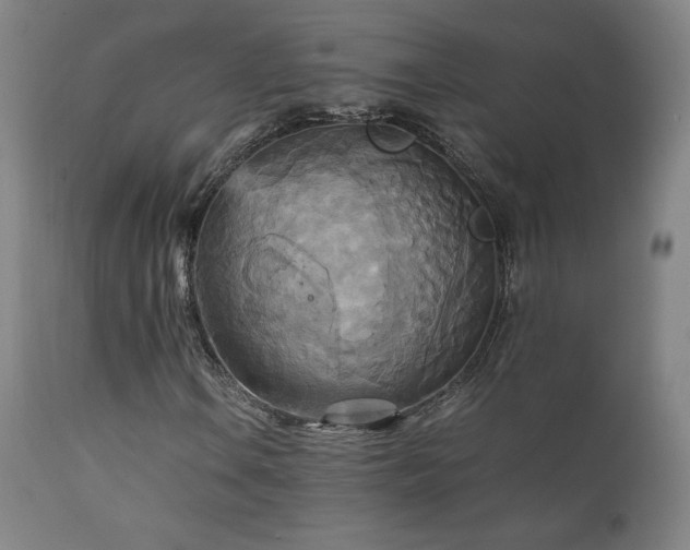 X0000111211106200907011437