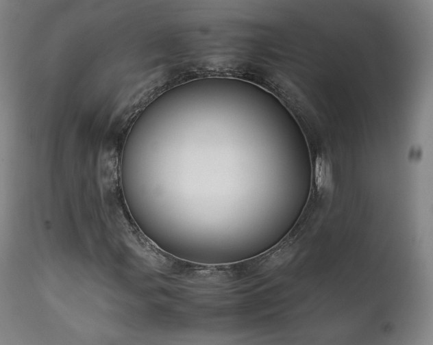 X0000111211107200907011437