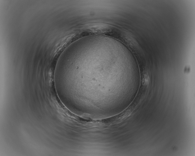 X0000111211108200907011437