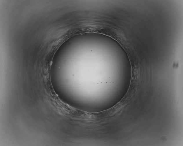 X0000111211109200907011437