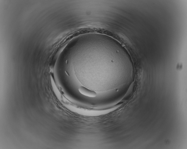 X0000111211110200907011437