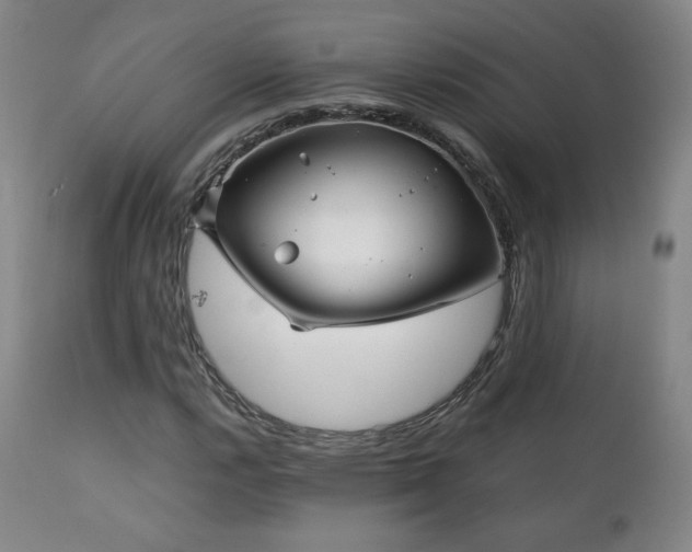 X0000111211112200907011437