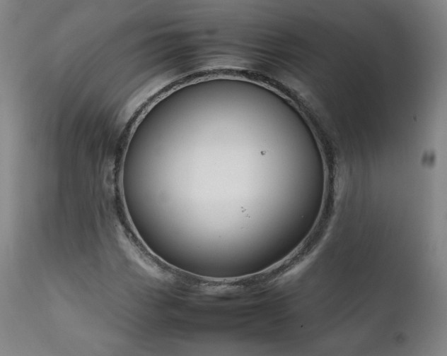 X0000111211113200907011437