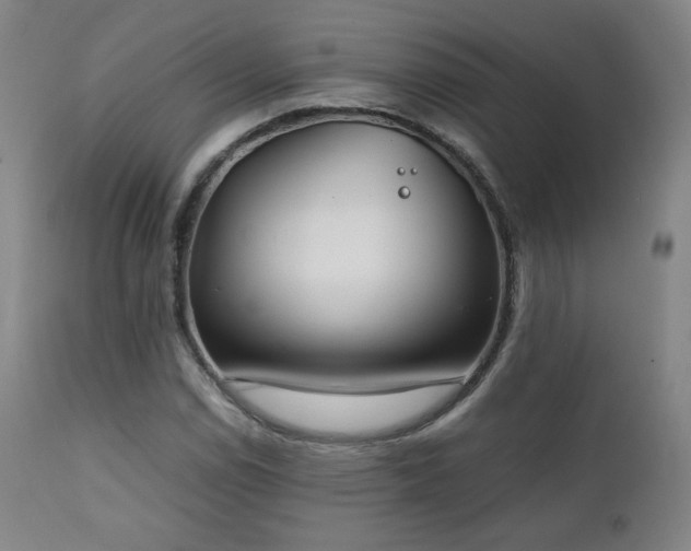 X0000111211114200907011437