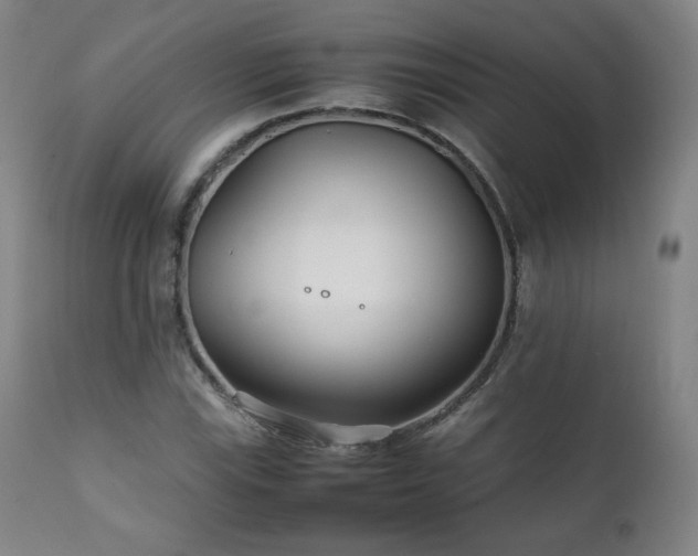 X0000111211115200907011437