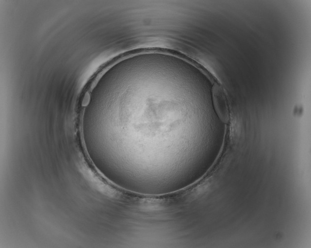 X0000111211116200907011437