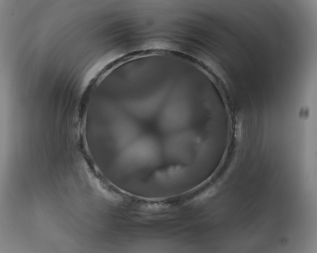 X0000111211117200907011437