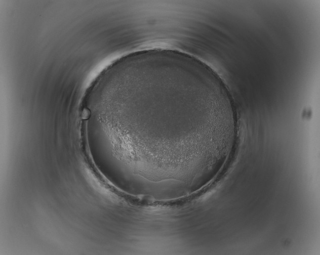 X0000111211118200907011437