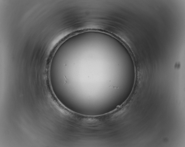 X0000111211119200907011437