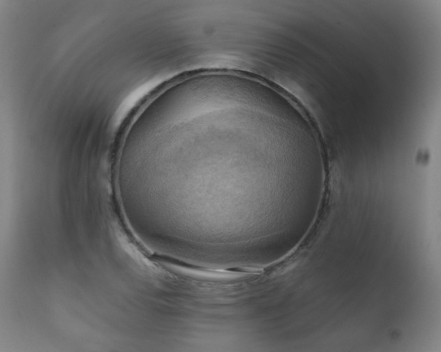 X0000111211120200907011437