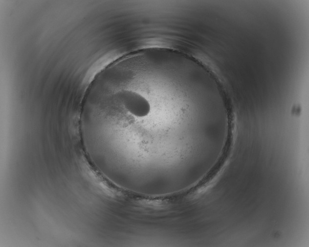 X0000111211121200907011437