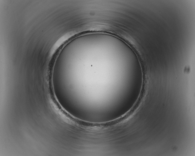 X0000111211122200907011437