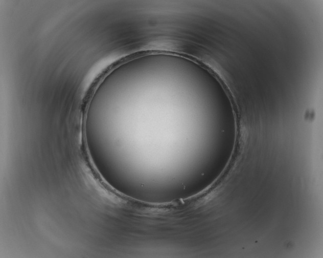 X0000111211123200907011437