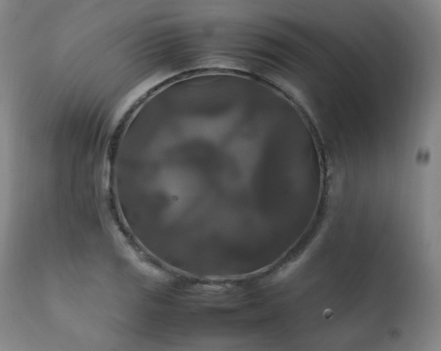 X0000111211125200907011437