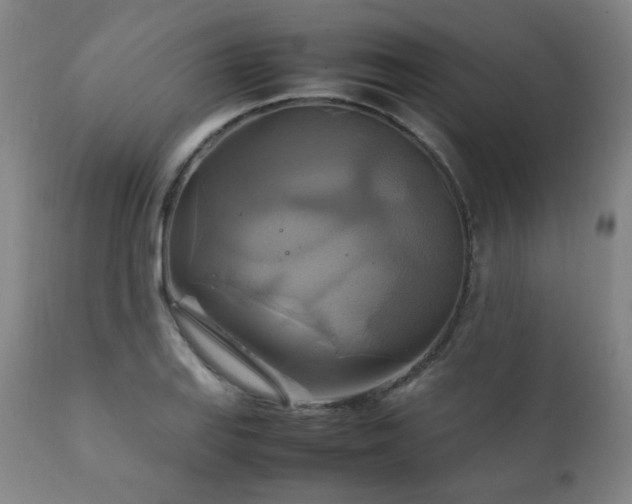 X0000111211127200907011437