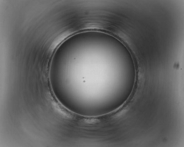 X0000111211129200907011437