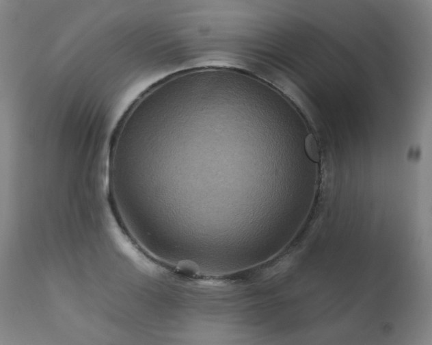 X0000111211132200907011437