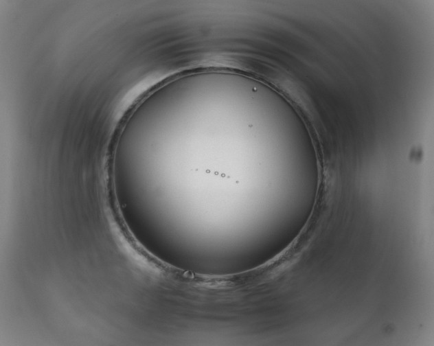 X0000111211133200907011437