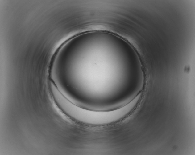 X0000111211134200907011437