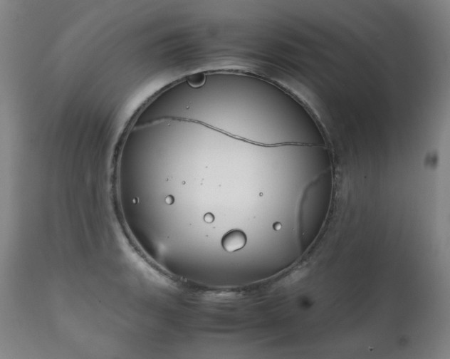 X0000111211135200907011437