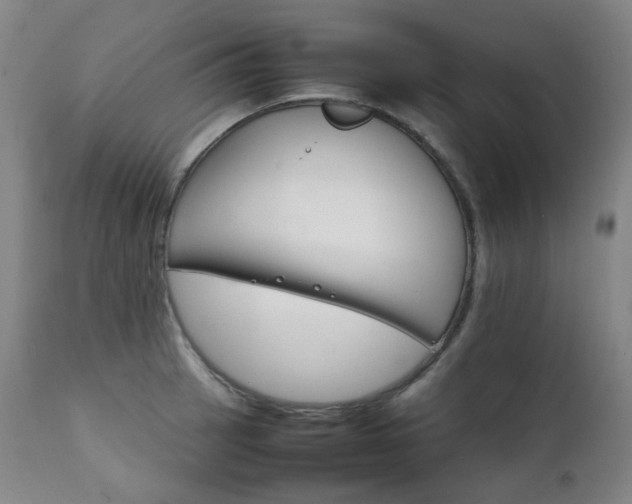 X0000111211137200907011437