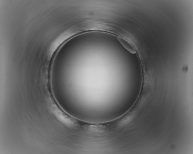 X0000111211138200907011437